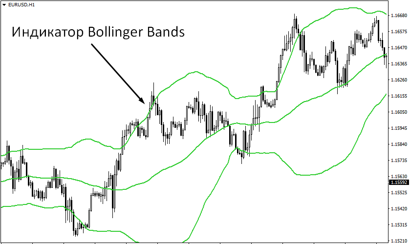 Боллинджер1
