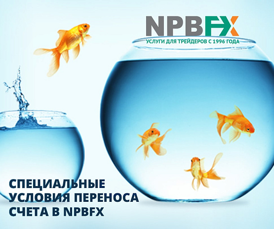 Перенос торговых ордеров к NPBFX – рисунок brokeryforex.ru Рисунок: Выгодные условия при переносе счетов к брокеру NPBFX