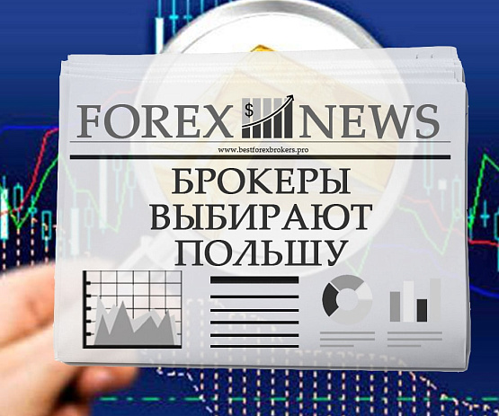 Польский рынок Форекс для трейдеров Польский рынок Форекс