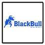 BLACKBULL MARKETS BLACKBULL MARKETS